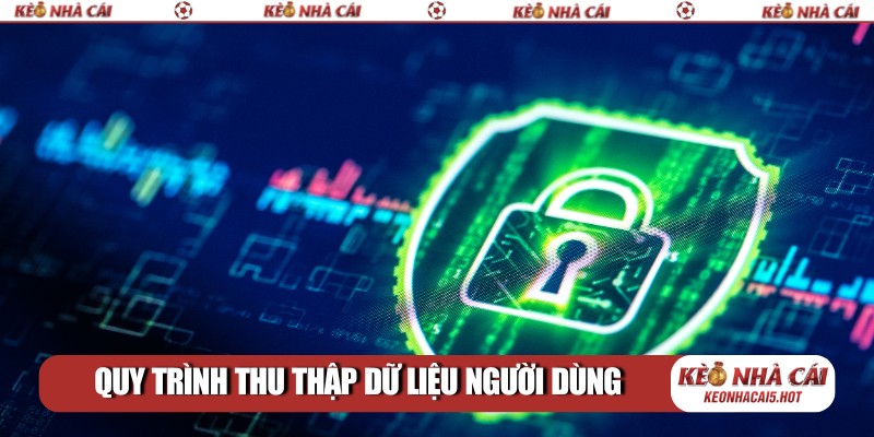 Quy trình thu thập và dữ liệu người dùng
